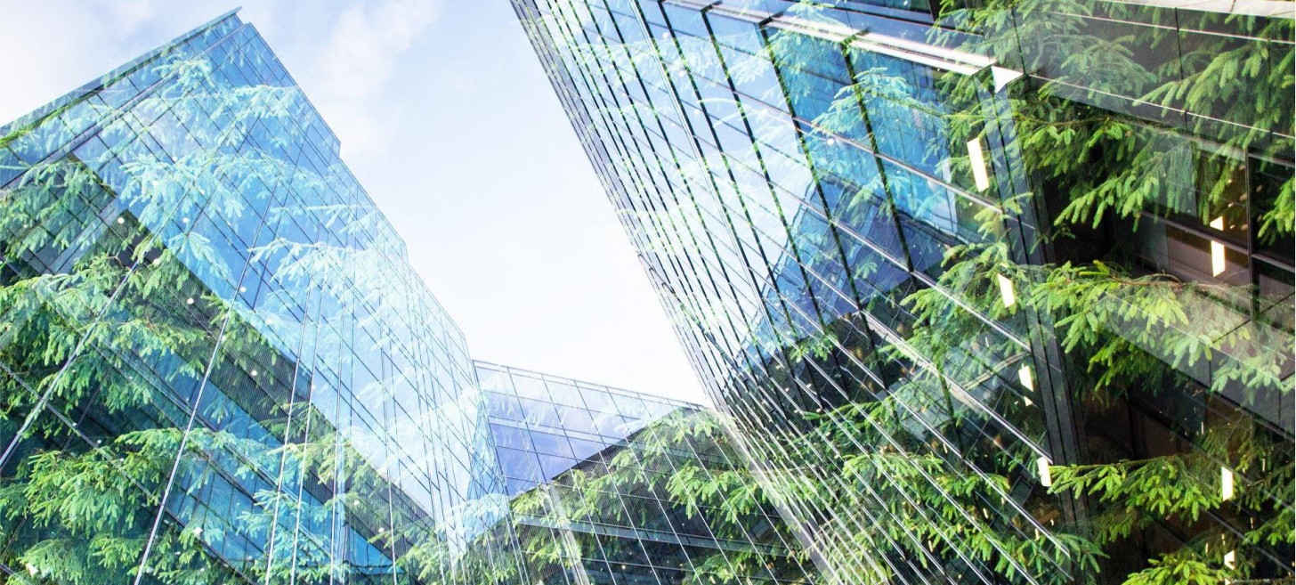 Khay nhom thuc pham Leo Alu Pack 1