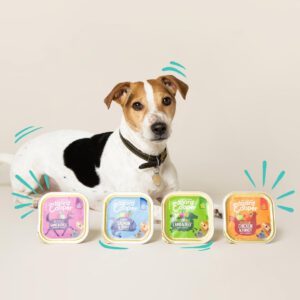 Tiêu chí quan trọng khi lựa chọn bao bì đóng gói pate thú cưng
