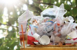Bao bì nhựa sắp bị khai tử: Đừng đợi đến 2026 mới chuyển đổi!