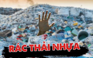 Bao Bì Nhựa Đang Nuốt Chửng Trái Đất: Đâu Là Lối Thoát Cho Ngành Thực Phẩm?