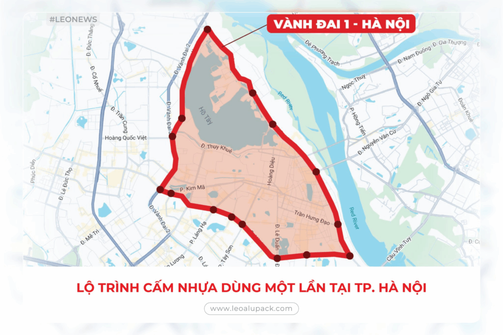 Lối Thoát Nào Cho Các Đại Lý Bao Bì Truyền Thống Trong Kỷ Nguyên Cấm Nhựa?