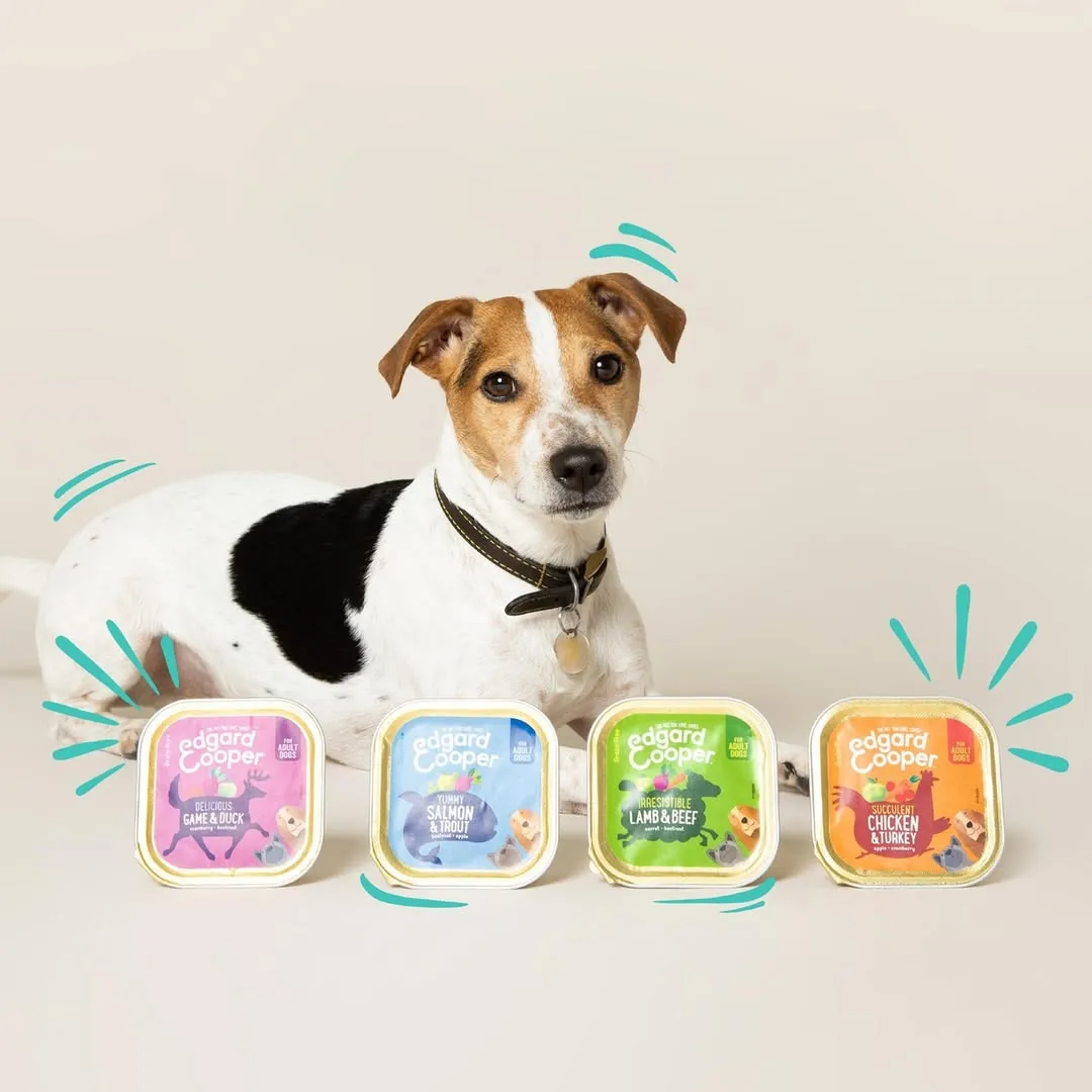 Khay nhôm Petfood